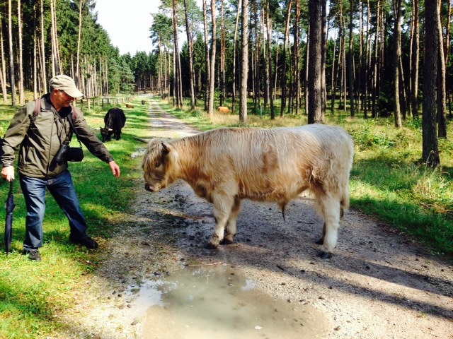 Grüner Nationalparktag 2016 führt mitten in die Natur und Archäologie der Oerlinghauser Senne