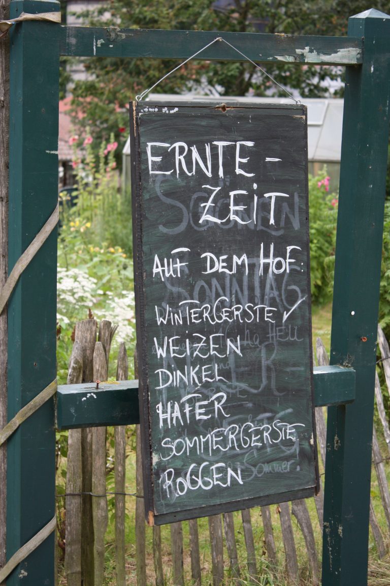 Borchener Bündnisgrüne besuchen das Erntedankfest des Hofgut Schloss Hamborn