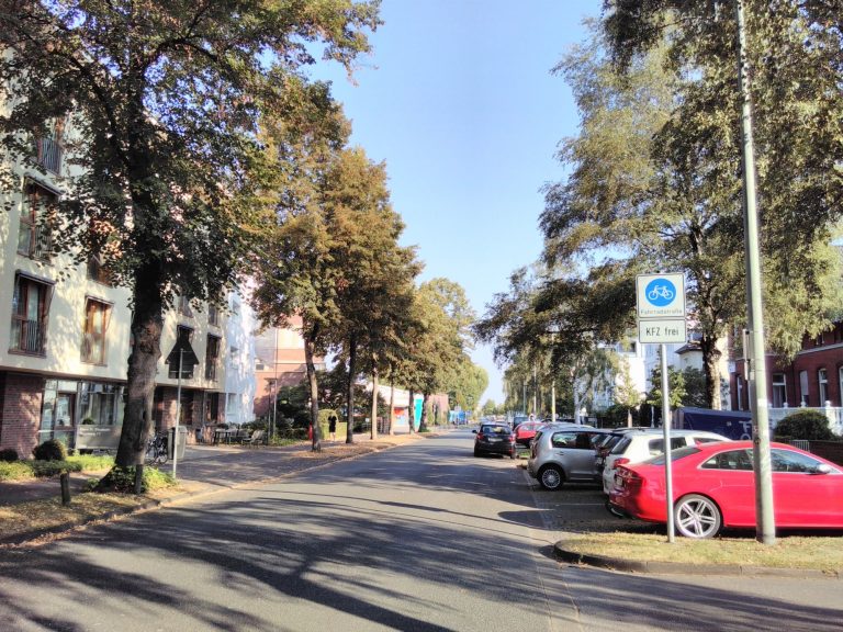 Tegelweg verbindet Innenstadt und Stadtheide – Grüne freuen sich über Radstrasse