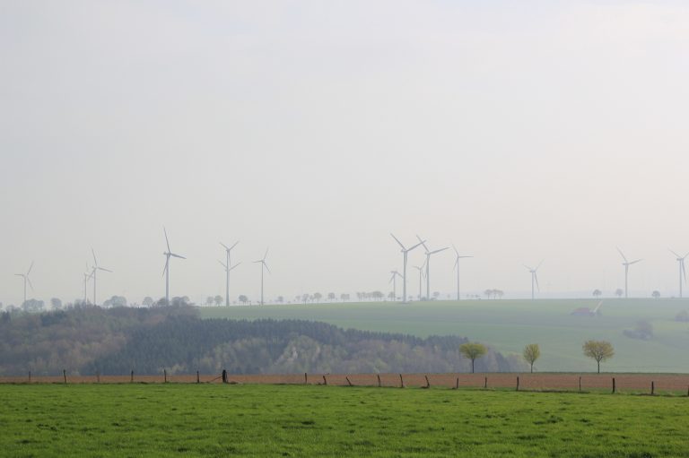 „Unsere Generation ist die letzte, die den Klimawandel noch aufhalten kann“ – Grüne kritisieren Dreier