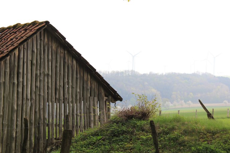 Borchener Bürgermeister und SPD reiten auf der Welle selbsterzeugter Entrüstung – Grüne: Deeskalation notwendig