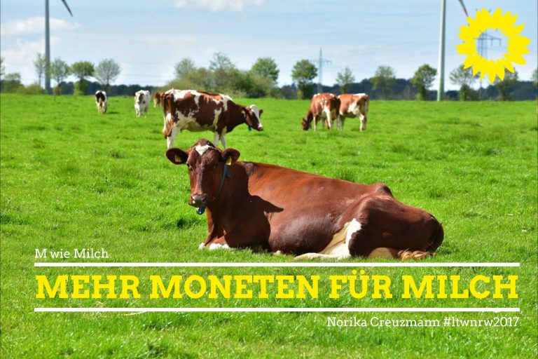 Friedrich Ostendorff kritisiert mageren Milchgipfel – “Politik darf nicht vor Agrarindustrie kapitulieren”