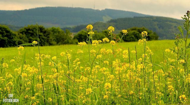 Für die Sommerferien jetzt schon den Ausgleich für Unterrichtsausfälle planen