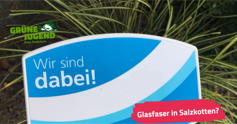 Glasfaserausbau in Salzkotten- Stellungnahme der Grünen Jugend