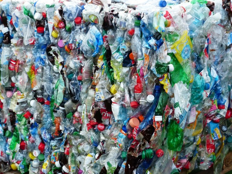 Grüne sagen Plastikmüll den Kampf an – Ratsfraktion startet vier Antragsinitiativen