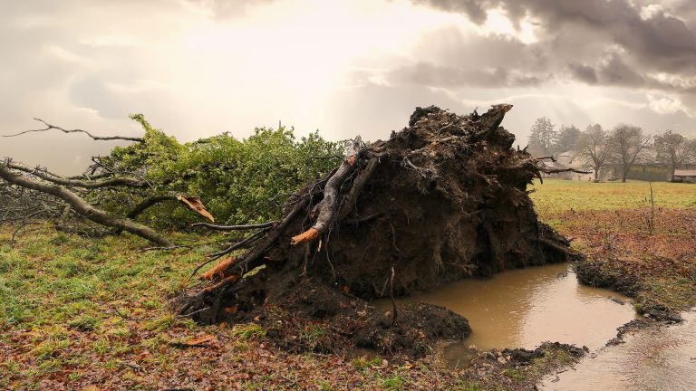 Filmabend: Immer noch eine unbequeme Wahrheit –  Klimawandel: Was wir für unsere Kinder tun müssen