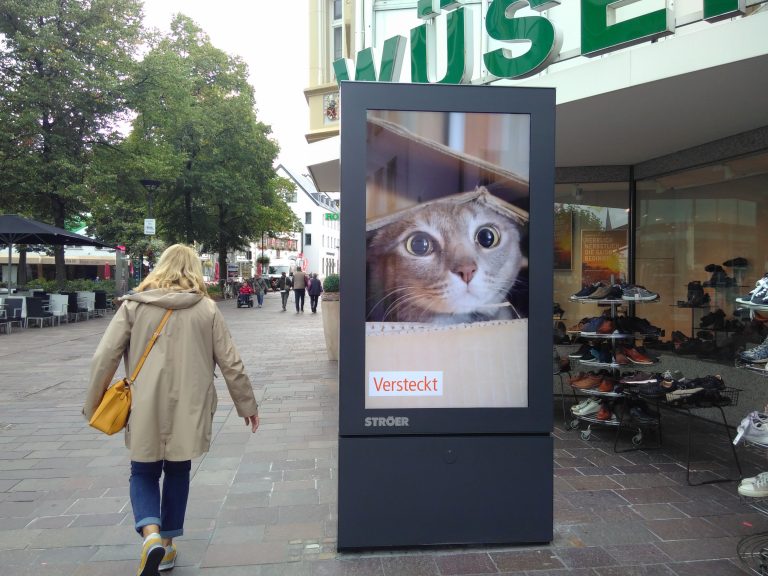 Digitale Werbetafeln in Fußgängerzone hätten öffentlich diskutiert werden müssen
