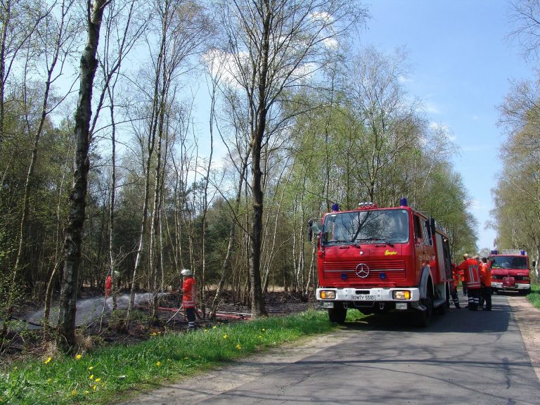 Erhöhte Waldbrandgefahr durch Trockensommer: Grüne Ratsfraktion fragt nach Einsatzkonzepten