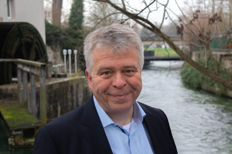 Rotbuchen in der Stadtheide vor der Fällung – Grüne kritisieren CDU-Weigerung bei Baumschutzsatzung