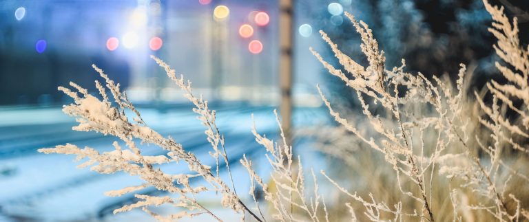 Der Winter ist da: Obdachlose brauchen warme Plätze