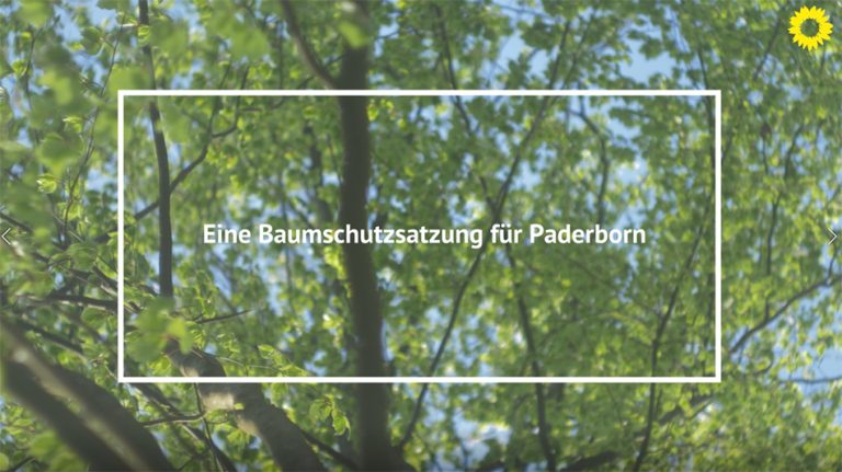Baumschutz in Paderborn