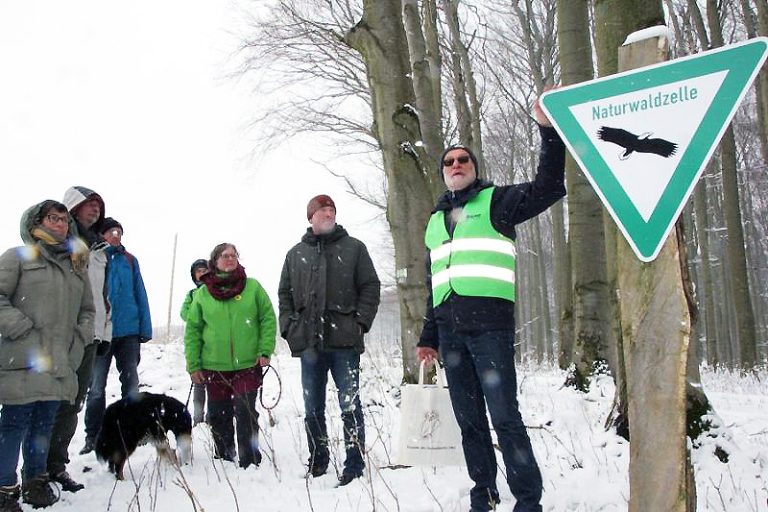 „Das ist keine nachhaltige Forstwirtschaft mehr“- Waldexkursion mit Norwich Rüße und Naturschützer:innen