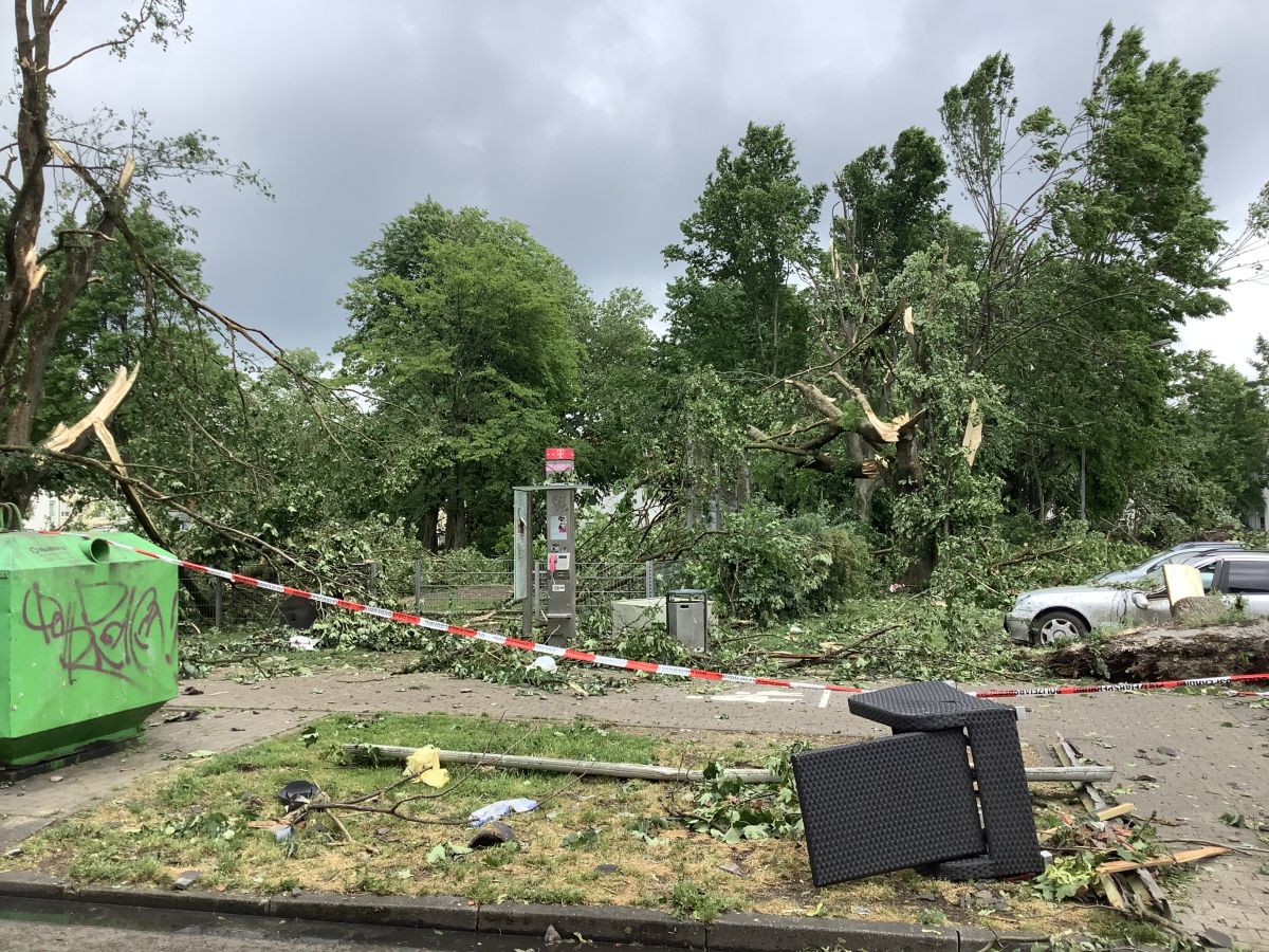 Wirkungen des Tornados auf dem Riemekepark Entwurzelte und abgeknickte Bäume, ein zertrümmertes Auto