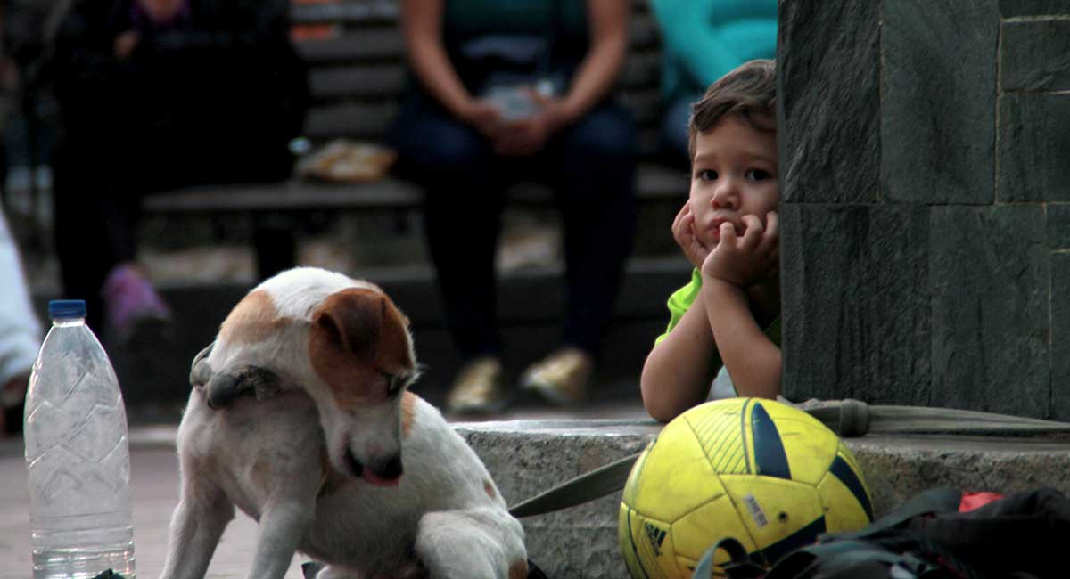 Ein traurig blickendes Kind mit einem Hund, einem Ball und einer PET-Flasche im Vordergrund. Im Hintergrund Frauen auf einer Bank.