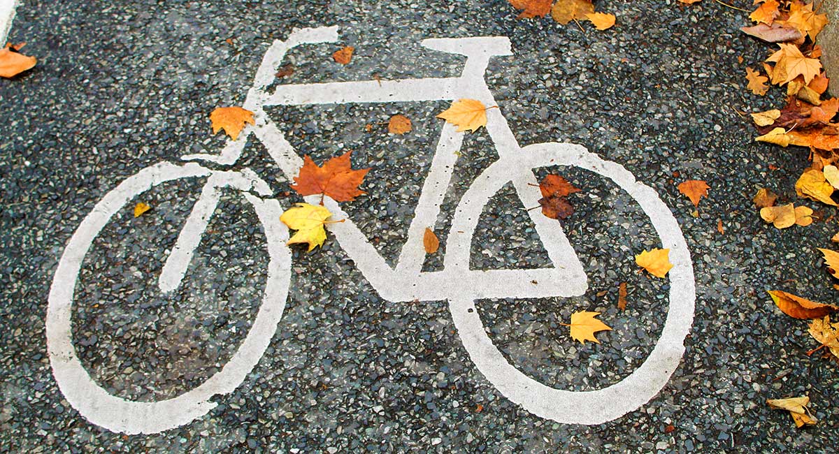 Ein Fahrradpiktogramm auf einer Straße mit herbstlichem Laub.