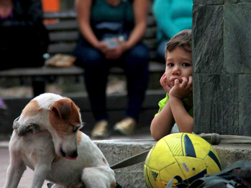 Traurig blickender Junge mit Hund und Ball.