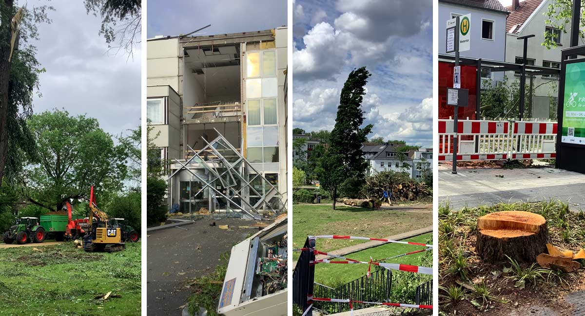 Nach dem Tornado 2022: Aufräumarbeiten im Riemeke-Park, zerstörtes Technisches Rathaus, entwurzelte Bäume im Paderquellgebiet, Baumstumpf an der neuen ZOH.