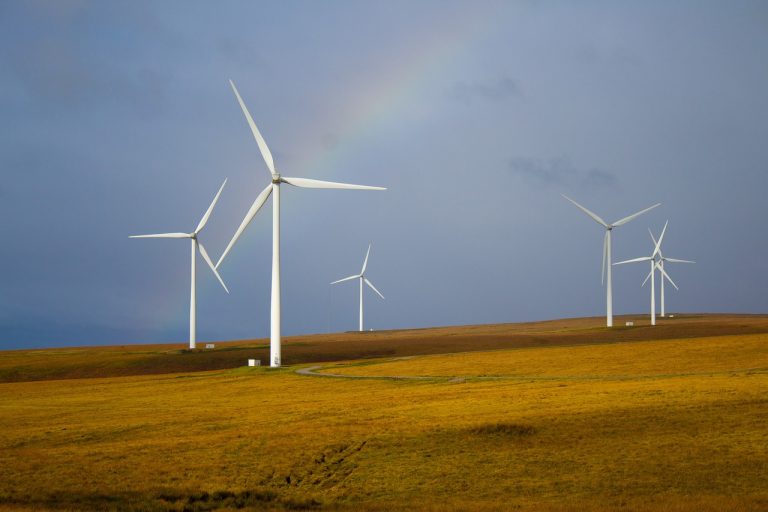 Grüne stehen für bezahlbare Energie – Windkraft darf im Kreis nicht verhindert werden