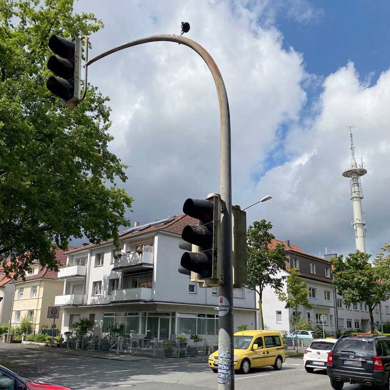 Ampel an der Rathenaustraße mit Kameraerkennung von Fußgänger*innen und Radfahrenden.