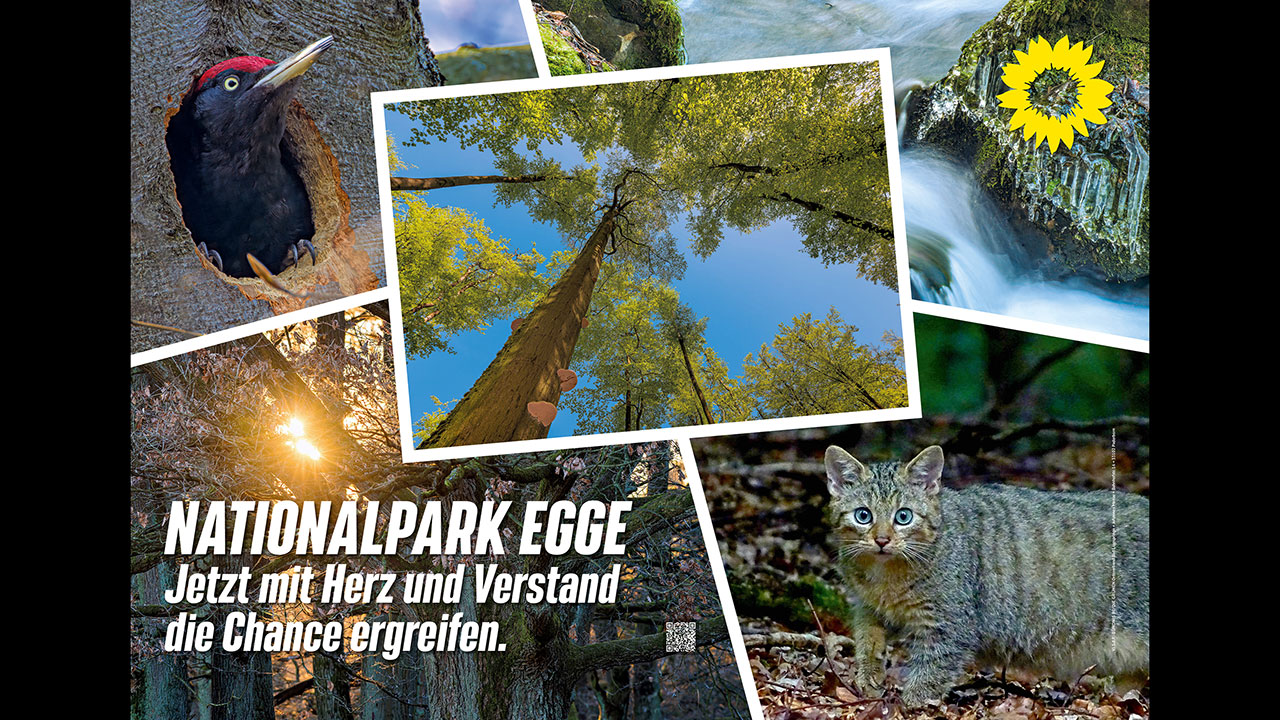 Plakat Nationalpark Egge. Collage mit Specht, Wildkatze, Wasser und Bäumen.