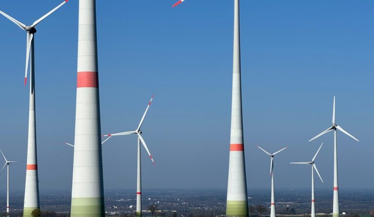 Klimaschutz im Kreis Paderborn: Grüne erwarten Zwischenbilanz zu den Klimazielen 2025