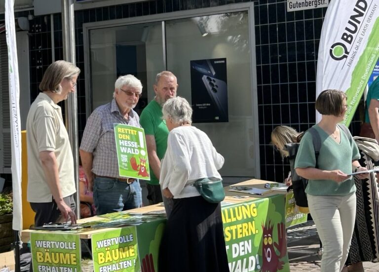 Hesse-Wäldchen muss erhalten bleiben – Grüne fordern Alternativlösungen für das Hesse-Parkhaus