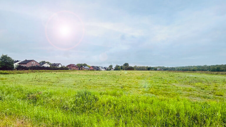 Ein grünes Feld mit Häusern und einem Wald im Hintergrund.