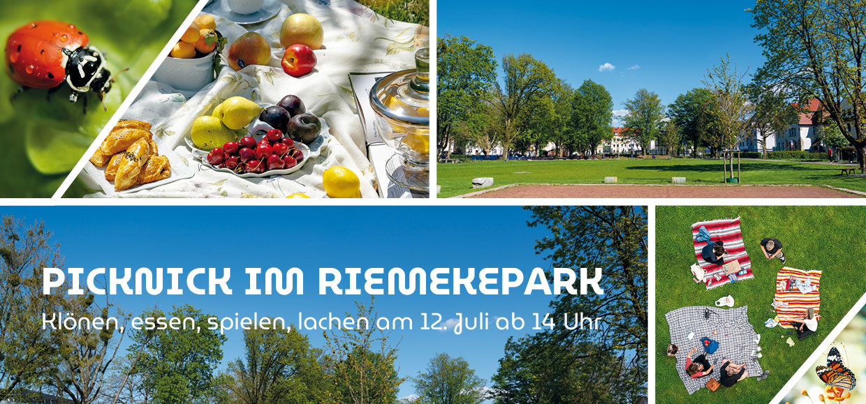Collage von Bildern vom Riemekepark in Paderborn.