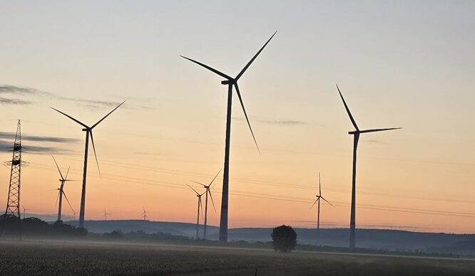 Grüne bedauern Ablehnung eines Basismonitorings für den Klimaschutz